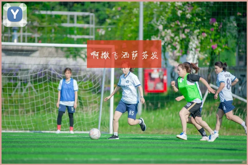 2024中甲排行榜更新 大连英博领跑 重庆铜梁龙紧追冲超悬念升温