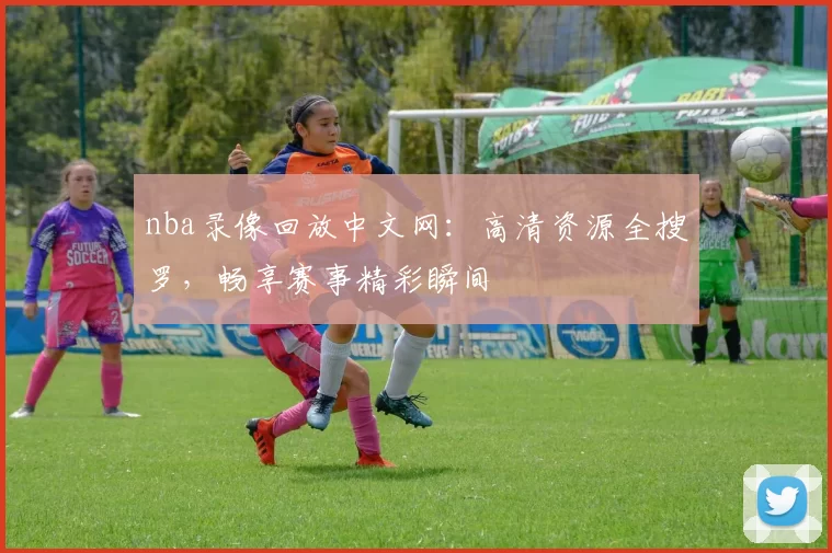 nba录像回放中文网：高清资源全搜罗，畅享赛事精彩瞬间