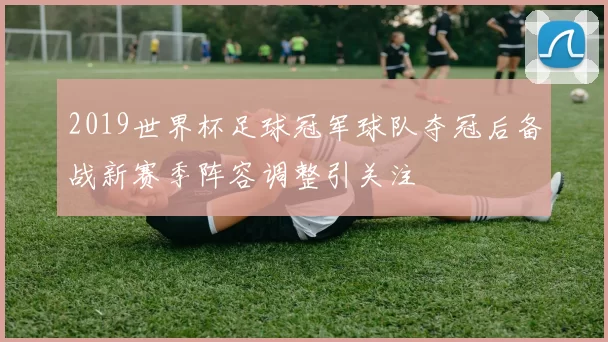 2019世界杯足球冠军球队夺冠后备战新赛季阵容调整引关注
