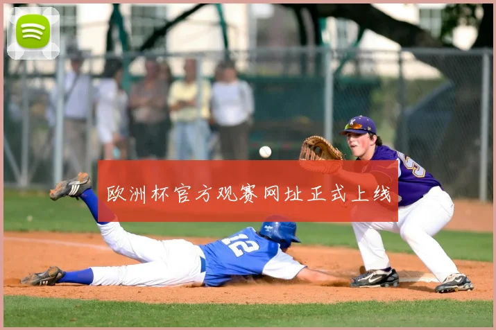 欧洲杯官方观赛网址正式上线
