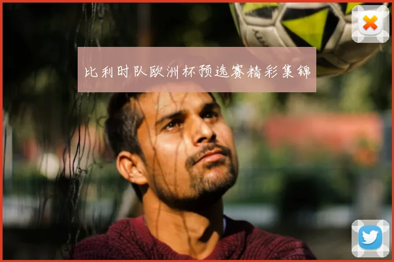 比利时队欧洲杯预选赛精彩集锦